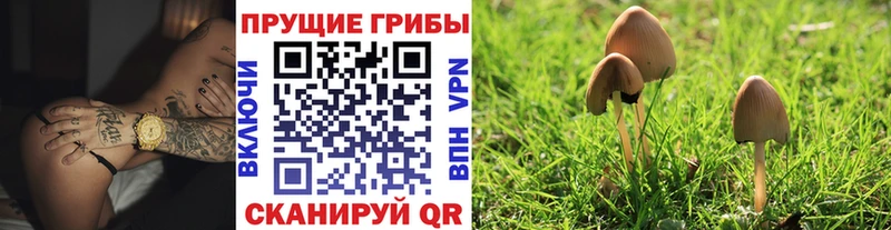 Псилоцибиновые грибы Psilocybine cubensis  Касимов 